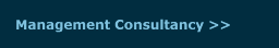 Management Consultancy >>
